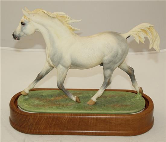 A Royal Worcester model of an Arab Stallion, modelled by Doris Lindner, c.1963, 29.5cm